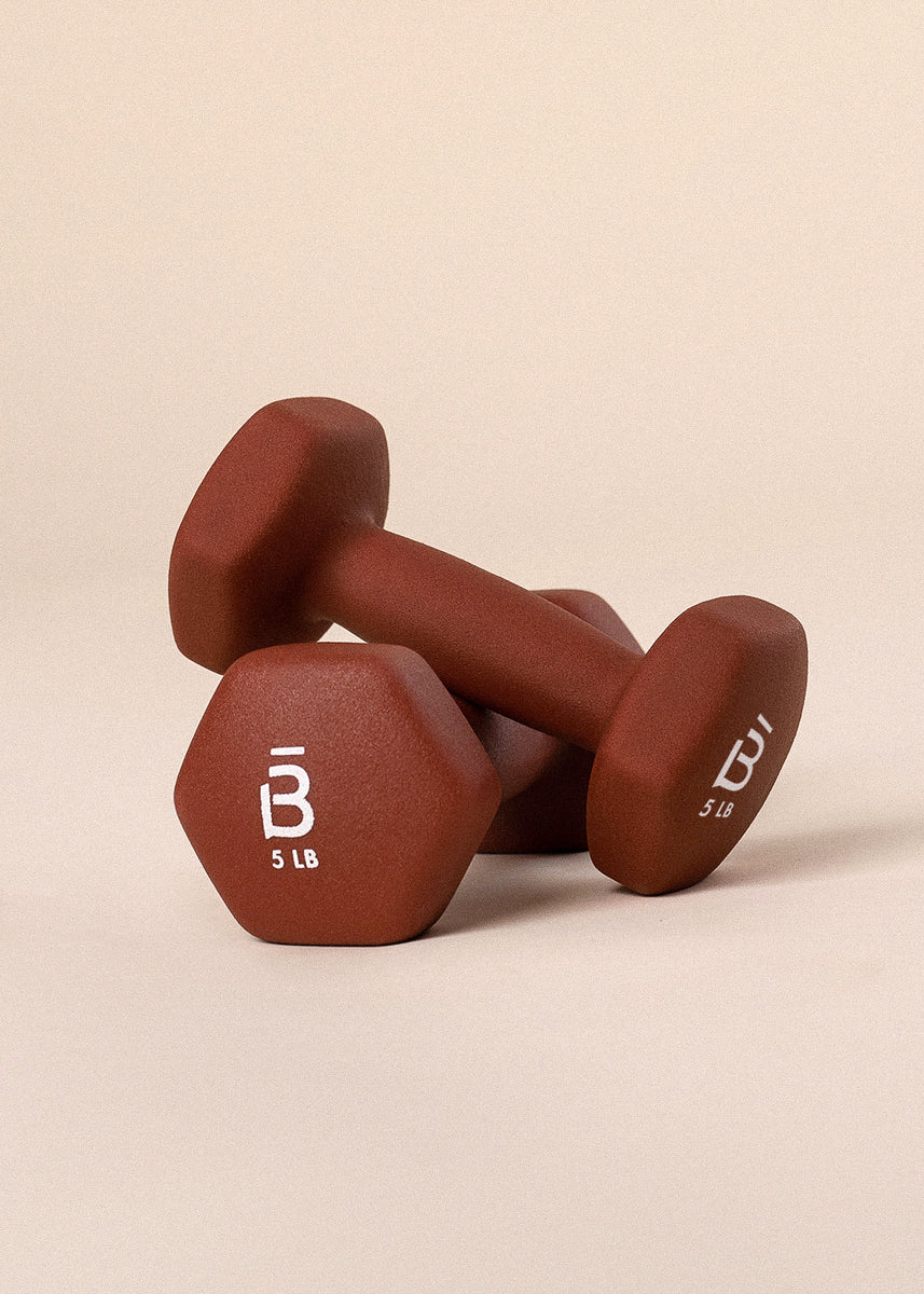 5 lb hook weights Set of 5 lb Weights – barre3